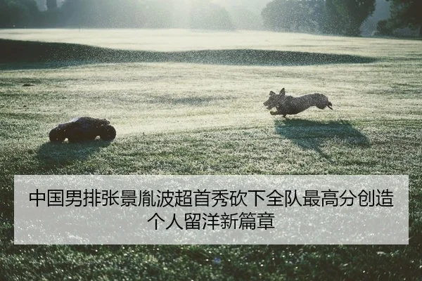 中国男排张景胤波超首秀砍下全队最高分创造个人留洋新篇章